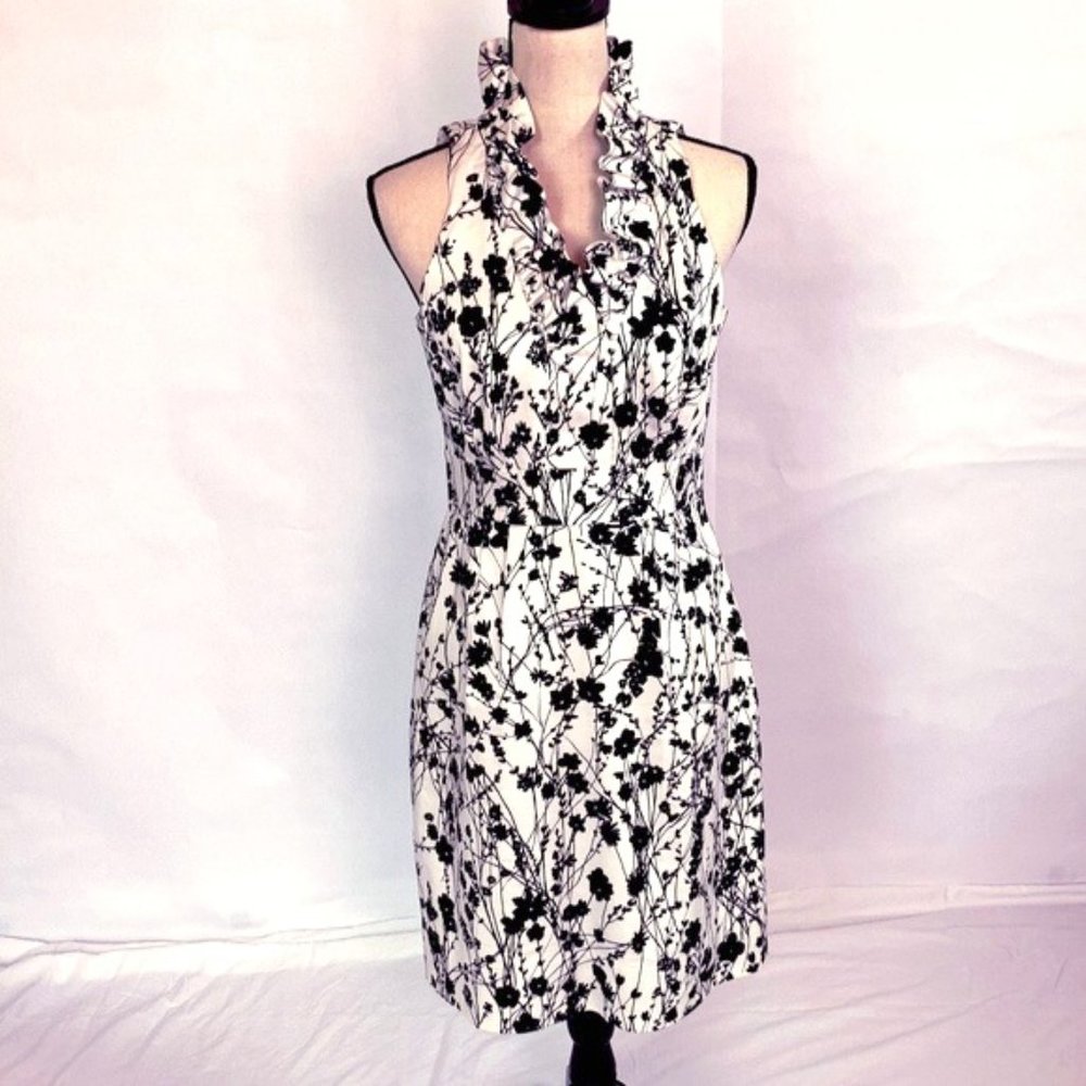 Taylor Dress from Nordstrom Vneck Sleeveless